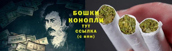 apvp Горно-Алтайск