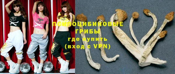 мяу мяу мука Вязьма