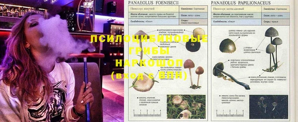 наркотики Горнозаводск